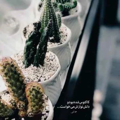 دانلود آهنگ  خوش اومدی به بلاد پارتی کاری باهات نداریم با کاگانی هیپهاپولوژیست